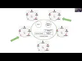 Webinar Creating an Effective Developer Experience on Kubernetes