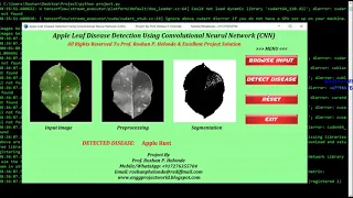 Apple Leaf Disease Detection Using Convolutional Neural Network CNN Python Project Source Code