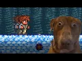 Man attempts to beat ALL Terraria Bosses without dying ONCE