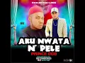 Prince Ogb -Aku nwata n’pele mp3