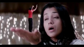 trisha krishnan bb touch and navel show and thoppul show