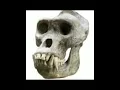 Cataclysm - Yvetzal (Tiktok Version)