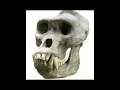 Cataclysm - Yvetzal (Tiktok-versie)