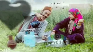 فايزه احمد قاعد معاي 