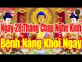 Lagu SÁNG 28ÂL Mở Kinh Này SámHối Phật Tổ Cứu Độ Hết Khổ Hết Bệnh CảNhà ÊmẤm Mạnh Khoẻ Tiền Về ÀoÀo