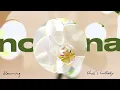 no na -  orchids (lullabies) (covers)