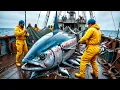 Download Lagu How CANNED TUNA is MADE 🐟 | INDUSTRIAL PROCESS 🏭