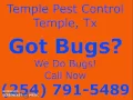 Need Pest Control Management Service Temple Tx