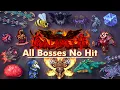 Terraria Calamity Mod All Bosses No-Hit Death Mode