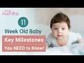 11 Weeks Old Baby Milestones Development Care Tips