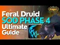 SoD Phase 4 Feral Druid DPS Guide Season of Discovery