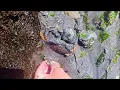 Low Tide Mukilteo