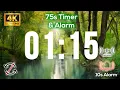 01 15s 75 Second TIMER with Tick Tock Sound Every Second and Alarm for 10s - No Loop