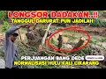 Download Lagu LONGSOR DADAKAN NORMALISASI KALI CIKARANG❗TANGGUL DARURAT PUN DIBUAT || PRIMAVERA RESIDENCE 