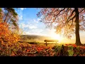 Download Lagu Música para Estudiar, Concentrarse e Inspirarse ☯ Música para Trabajar mas Concentrado