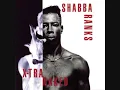 Shabba Ranks - Can't Do The Work