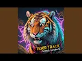 Download Lagu Tiger Track (Crowd Control)