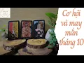 Download Lagu Cơ hội và may mắn {Series tarot tháng 10} |Trải bài tarot -  Tarot bánh quy