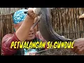 Download Lagu [FULL] PETUALANGAN SI GUNDUL | JEJAK SI GUNDUL (07/11/22)