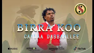 Caalaa Dabalee Birraa New Ethiopian Oromo Music 2025 Official Video 