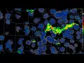 June 4 2020 MCS Collision Kansas and Missouri - Radar Loop