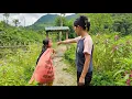 Download Lagu The mother went to the forest to bring bamboo and the daughter took her younger sister to pick berri