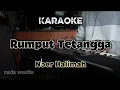 Download Lagu KARAOKE DANGDUT (nada wanita) RUMPUT TETANGGA - Noer Halimah by Otex Music