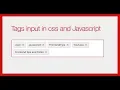 Tags input in CSS and javascript No Framework