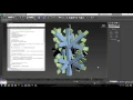 Leaf Animator MAXScript