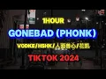 Download Lagu GoneBad (Phonk) - VodKe/HSHK/人面兽心/花凯 || Tiktok Remix 2024 抖音热播DJ【1Hour】Gone Bad (乡村Phonk)