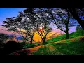 Post Malone - Go Flex Encore Tropical Remix
