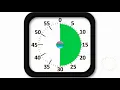 30 minute visual timer