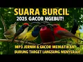Download Lagu SUARA PIKAT BURUNG KECIL PALING AMPUH || SUARA PIKAT SOGON || SUARA PIKAT BURCIL RIBUT TERBARU 2025