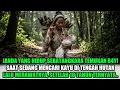 Download Lagu VIRAL !! JANDA MISKIN TEMUKAN B4Y! KEMBAR SAAT DIA SEDANG MENCARI KAYU DIHUTAN LALU MERAWATNYA...