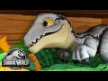Lagu Can You Find the Velociraptors? | Jurassic World | Kids Adventure Show | Dinosaur Cartoons