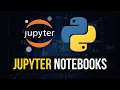 Jupyter Notebooks Are What You Need For Data Science