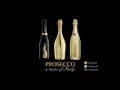 Bottega Prosecco TV Advert 30 sec