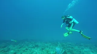 Divers paradise – Bonaire