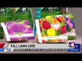 IFA Fall Lawn Tips on ABC 4