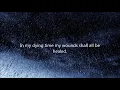 Black Label Society - My Dying Time Lyric Video