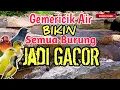BIKIN GACOR‼️ Suara Gemericik Air Sungai Bikin Burung Rajin Berkicau - Terapi Macet Bunyi