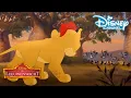 Download Lagu De Leeuwenwacht | Het leger van Scar! | Disney Channel NL