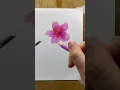 Realistic Flower Drawing with Color Pencil Step-by-Step Art for Beginners