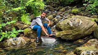 Ultimate White Crab Part 2 and Unique Fish Hunting in Jungle Waterfalls🔥