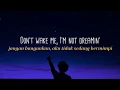 Download Lagu Don't wake me I'm not dreaming | sapientdream - past lives lirik terjemahan indonesia