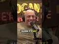 Nancy Pelosi s Net Worth Discussed on Joe Rogan Podcast