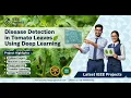 Disease Detection in Tomato Leaves Using Deep Learning MTech B Tech All Academic Levels