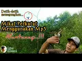 Download Lagu Mikat Burung Perkutut Hanya Menggunakan Mp3 Mantaaap...