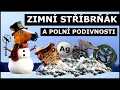 Lagu Detektor na sněhu - stříbrňák a rozličné  záhadné věcičky