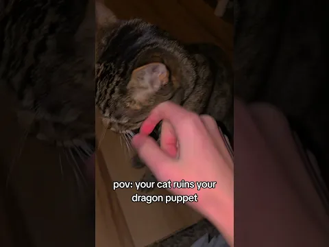 Pov: your cat ruins your paper dragon 😰😰😰 [audio not mine!!] #fyp #dragonpuppets #art #cat